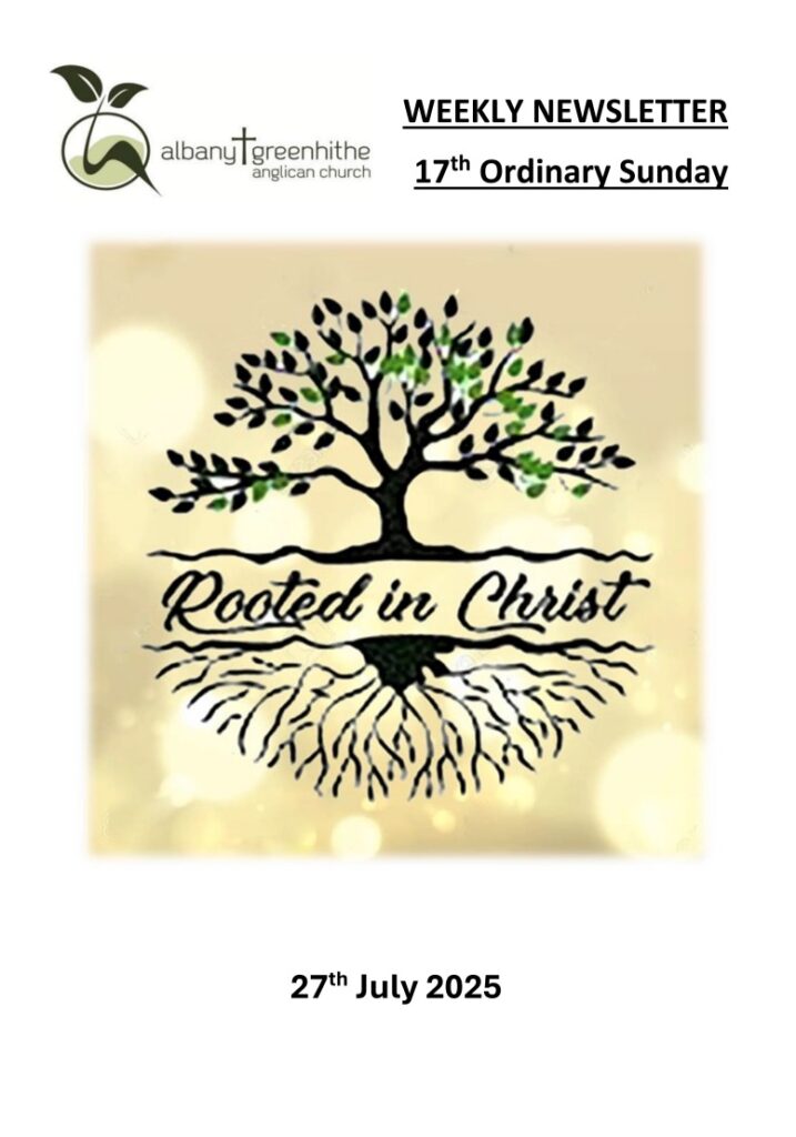 Newsletter(2025.7.27)