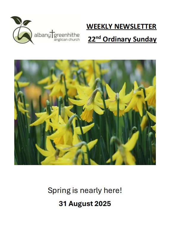 Newsletter(2025.8.31)