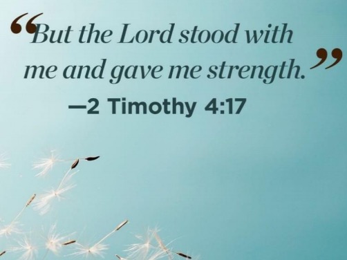 Notes from Yukiko’s Desk