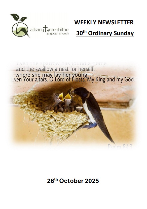 Newsletter(2025.10.26)