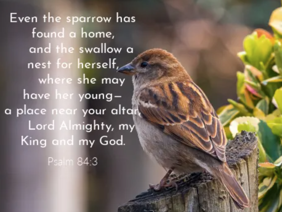 Notes from Yukiko’s Desk