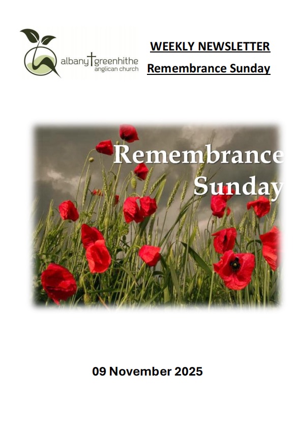 Newsletter(2025.11.9)