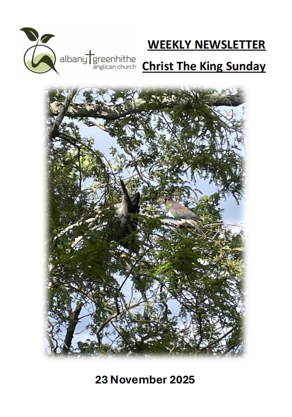 Newsletter(2025.11.23)