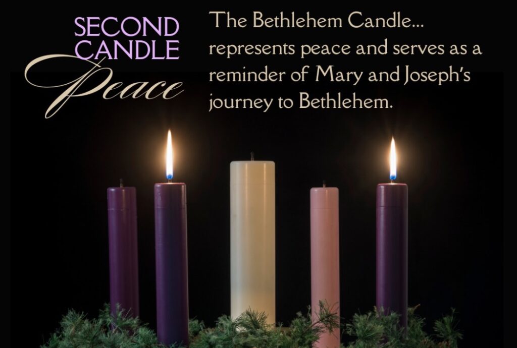 Notes from Yukiko’s Desk