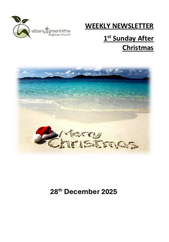 Newsletter(2025.12.28)