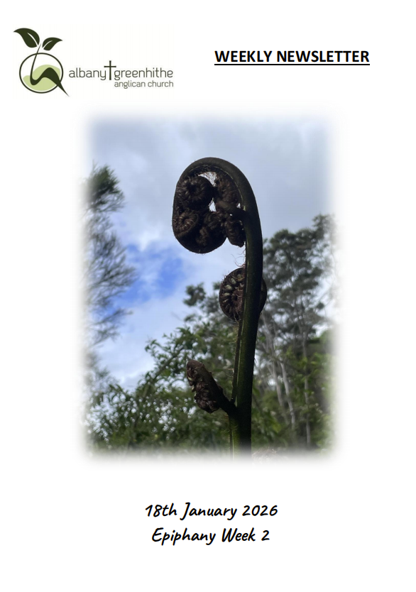 Newsletter(2026.1.18)