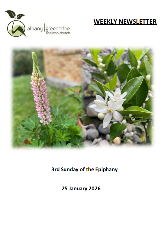 Newsletter(2026.1.25)