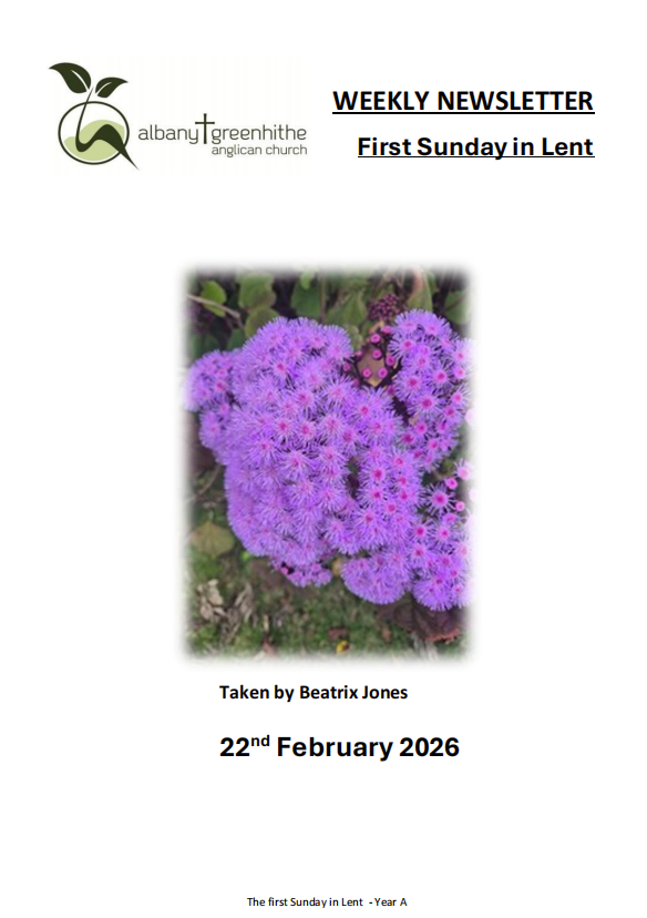 Newsletter(2026.2.22)