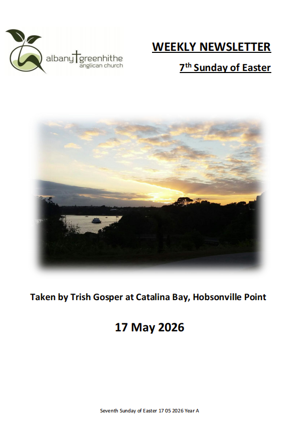 Newsletter(2026.5.17)