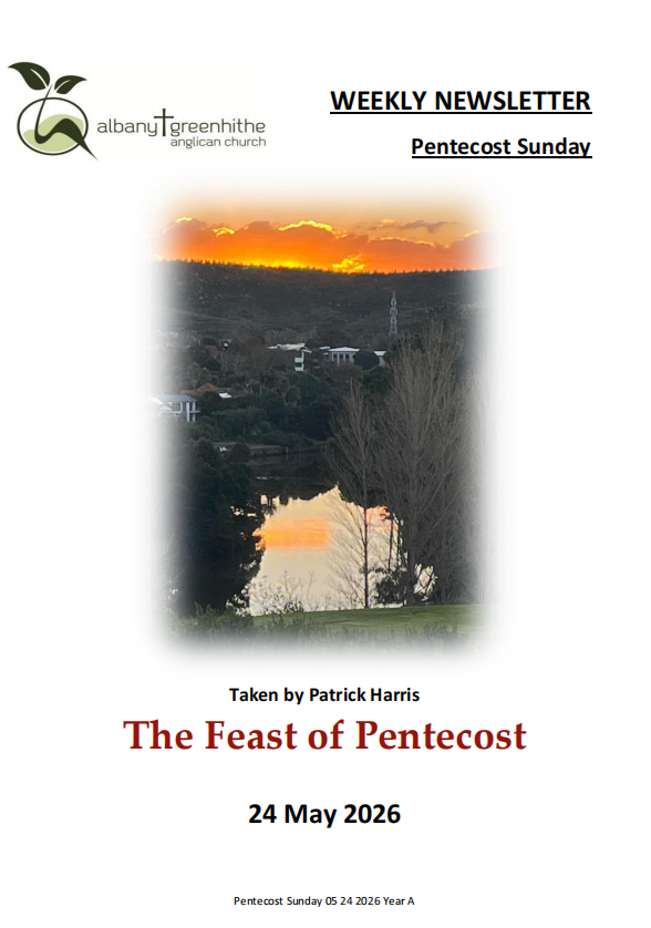 Newsletter(2026.5.24)