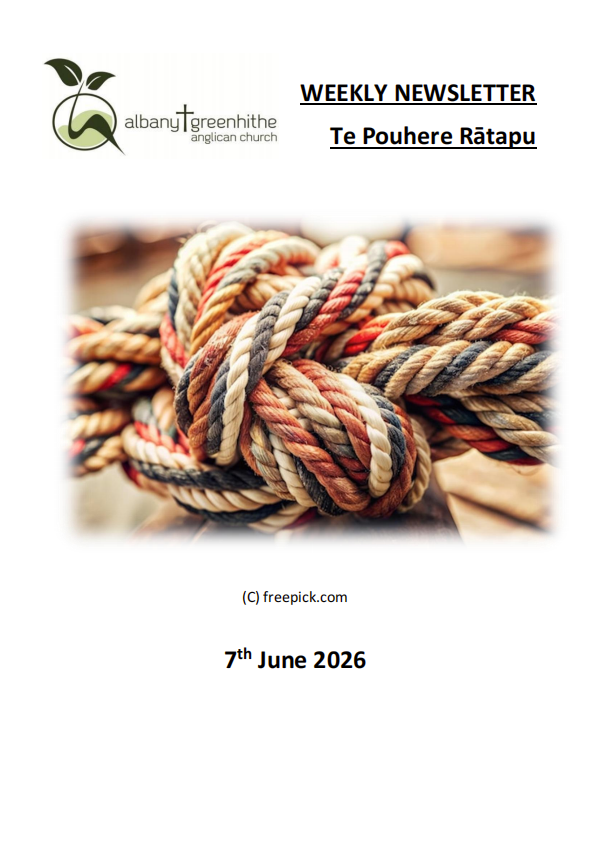 Newsletter(2026.6.07)