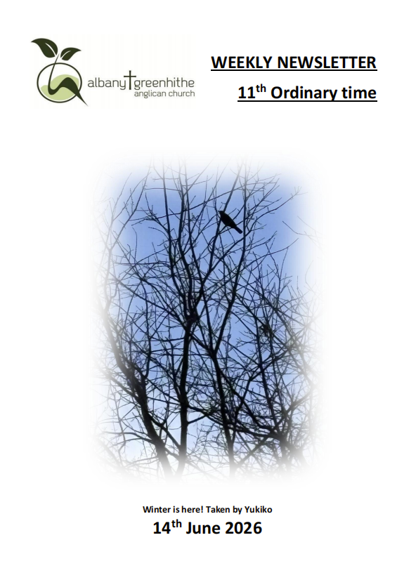 Newsletter(2026.6.14)
