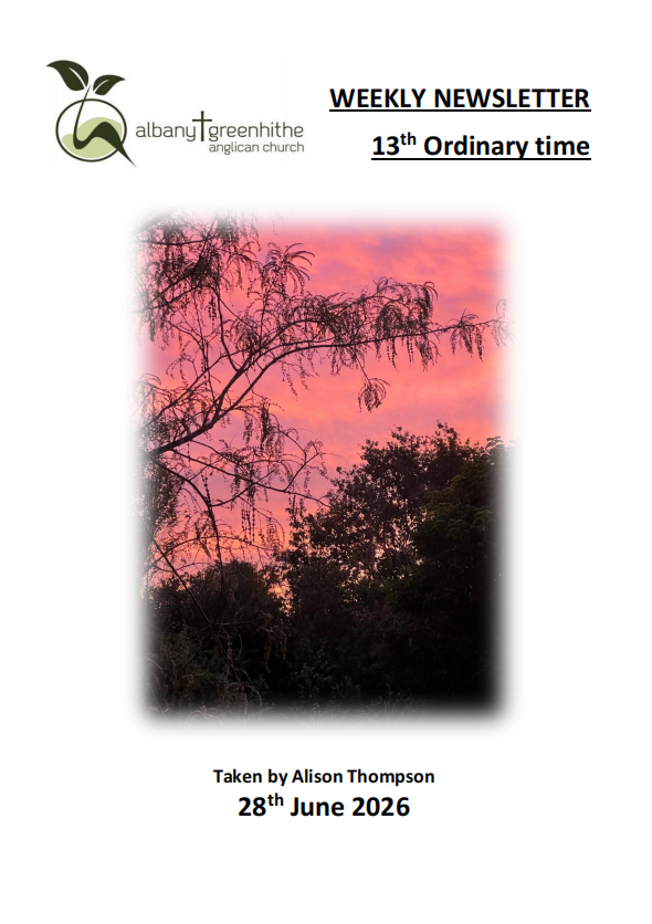 Newsletter(2026.6.28)