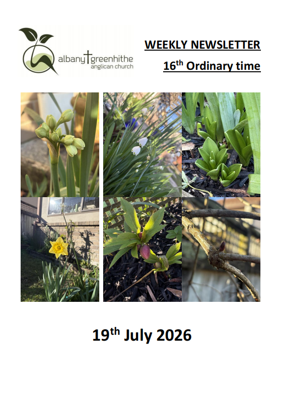 Newsletter(2026.7.19)