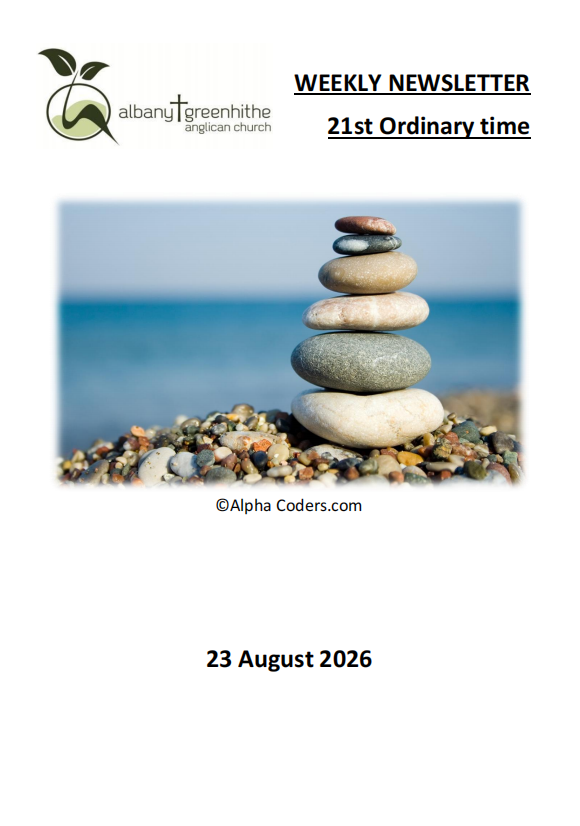 Newsletter(2026.8.23)