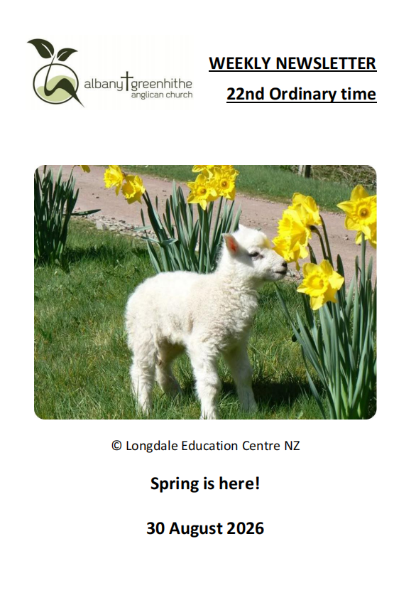 Newsletter(2026.8.30)