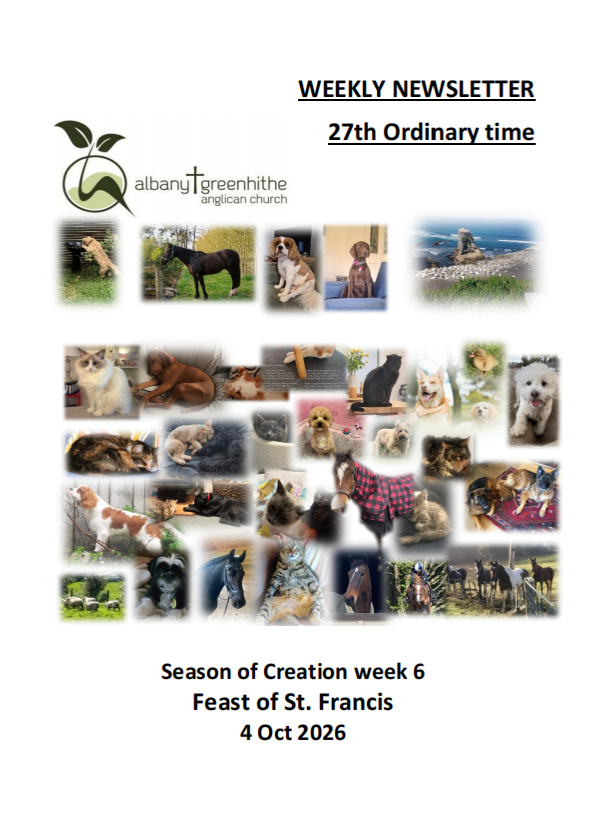 Newsletter(2026.10.4)